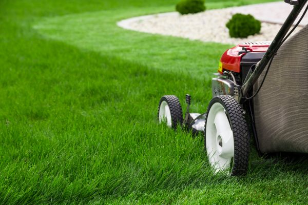 Grass Cutting Service in Salem