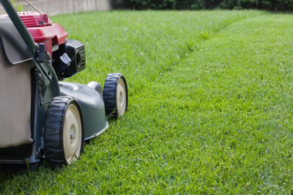 Lawn Care Service in Salem