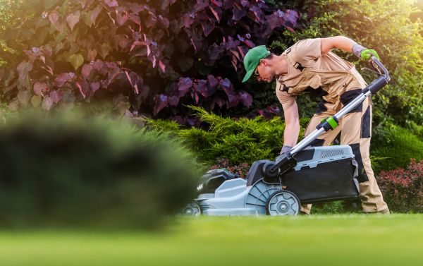 Yard Care Service in Salem