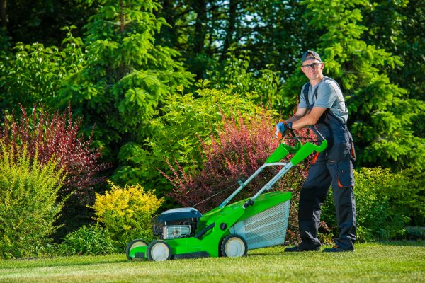Yard Work Service in Salem
