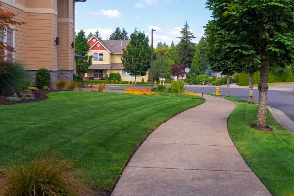 Home Lawn Maintenance in Salem
