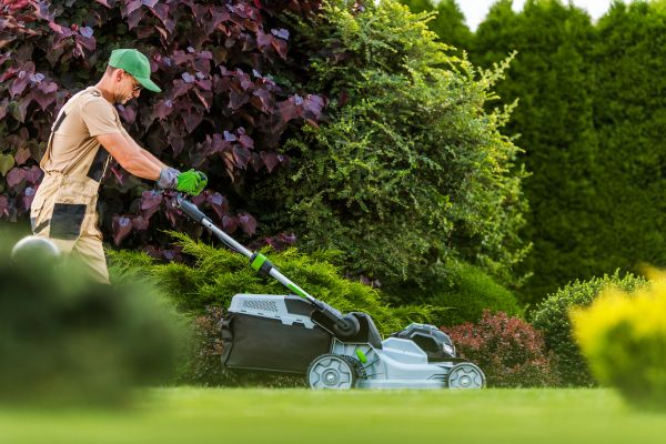 Lawn Management in Salem
