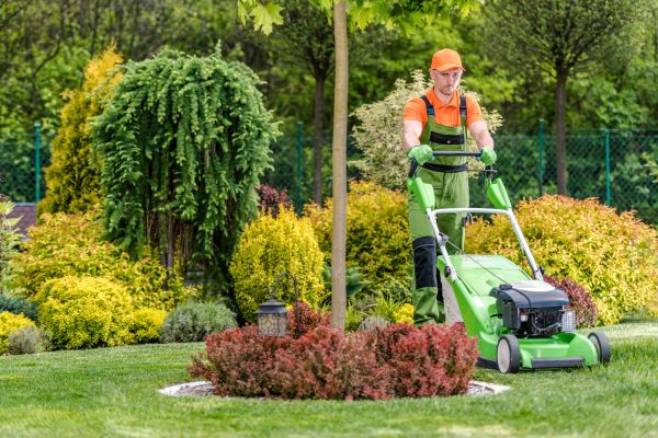 Commercial Yard Maintenance in Salem