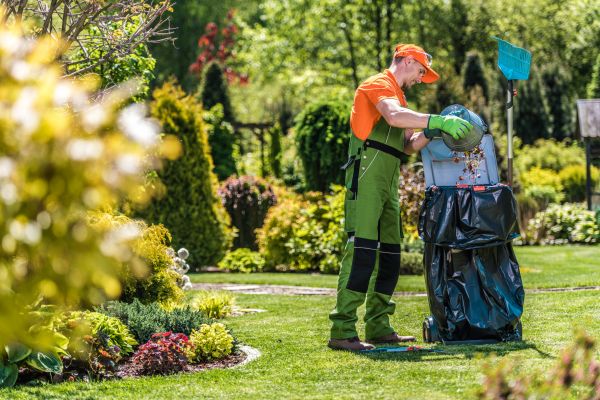 Lawn Cleaning Service in Salem