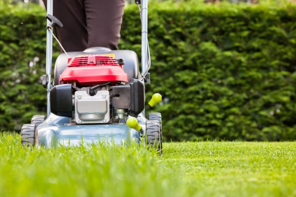 Grass Trimming Service in Salem