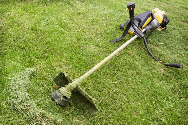 Hillside Weed Whacking in Salem