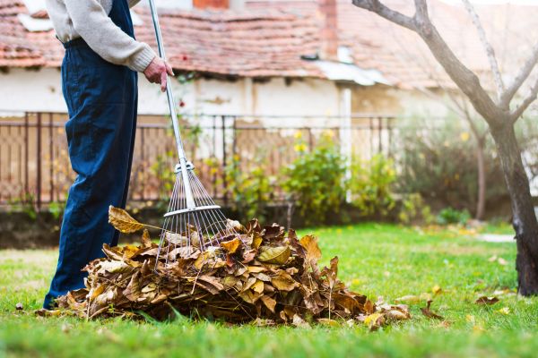 Routine Lawn Maintenance in Salem
