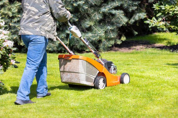 Springtime Lawn Care in Salem