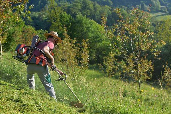 Slope Mowing in Salem