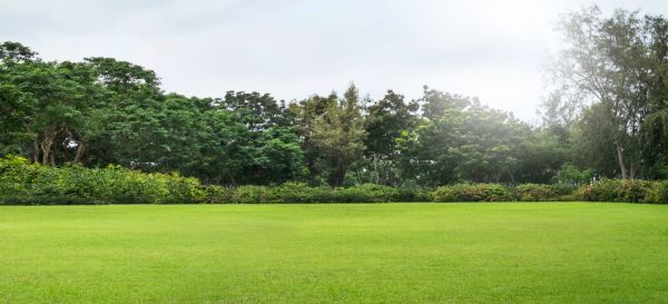 Golf Course Mowing in Salem