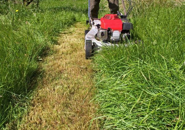 Leaf Mowing in Salem
