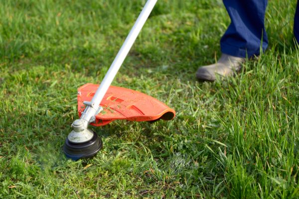 Lawn Weed Whacking in Salem