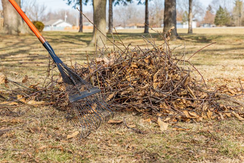 Leaf Pile Removal