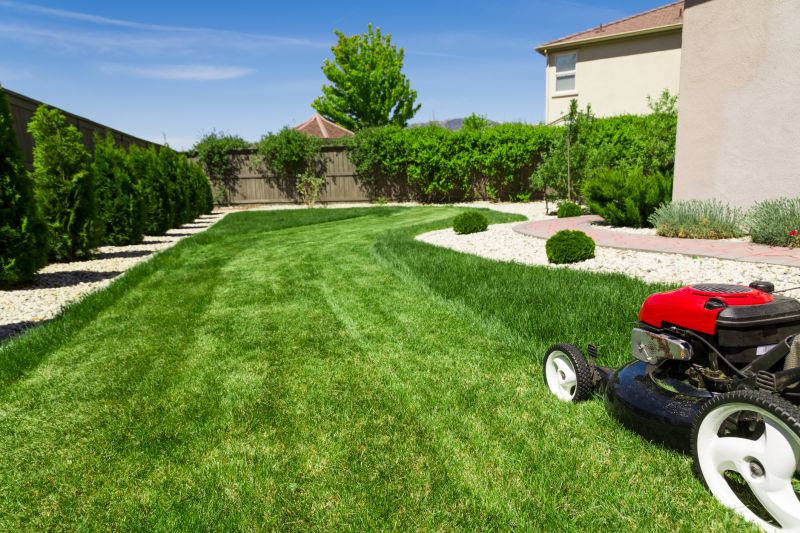 Yard Mowing detail