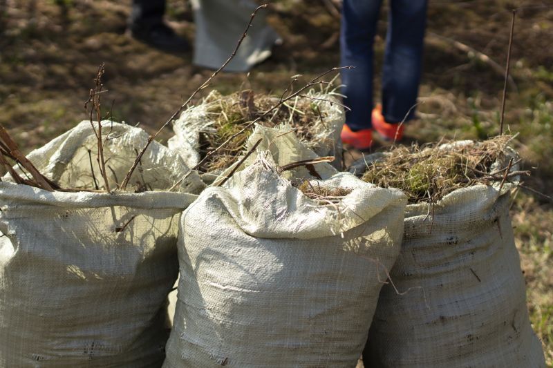 Thatch Removal Service